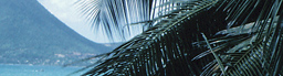 www.traveljungle.co.uk